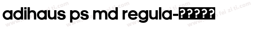 AdiHaus PS Md Regula字体转换